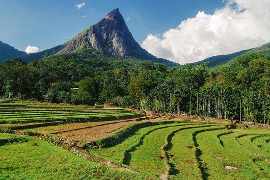 Knuckles Conservation Forest